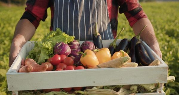 person carrying a tray full of fresh picked produce