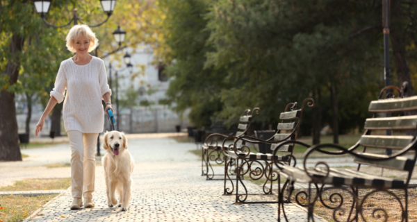 Woman walking her dog in the morning through the park.