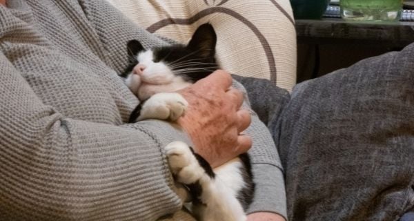 Senior resident with dementia holding a therapy therapy cat.