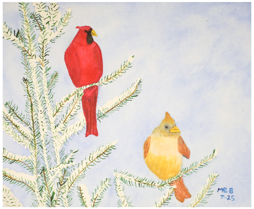 Massapequa_Michael B_2-1-1