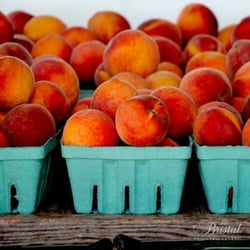 ripe peaches in farm market