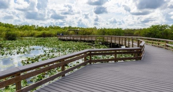 everglades-national-park