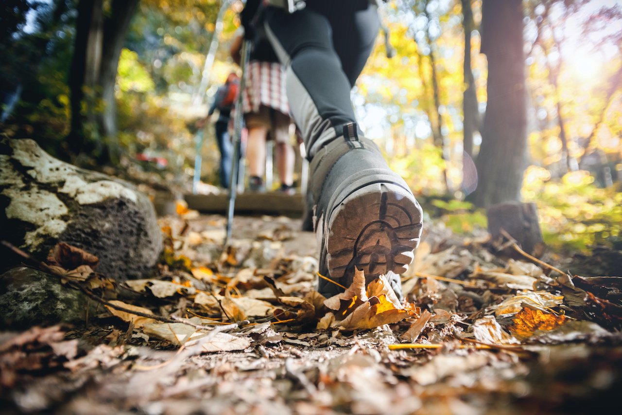 hiking-shoe