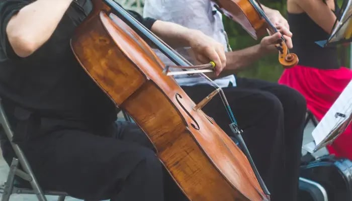 cellist musician group performing music