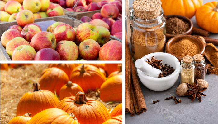 Photo collage of fall pumpkins, apples, and spices.