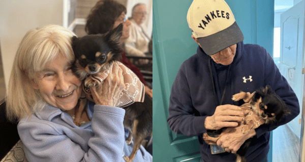 Pet therapy visit at The Bristal at Englewood featuring celebrity pup Fabio