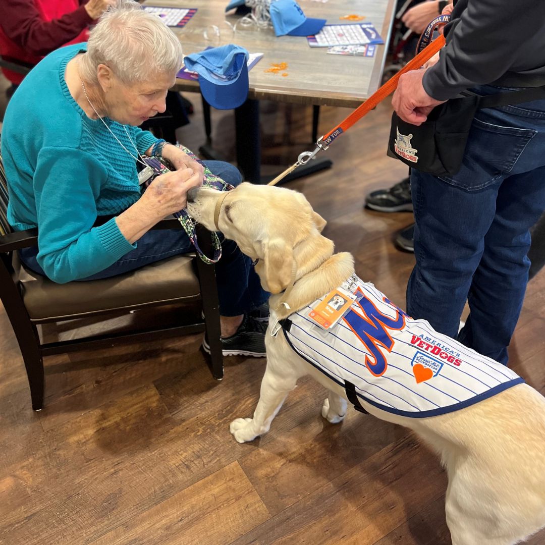 America's VetDogs Partners with Amazin' Mets Foundation to