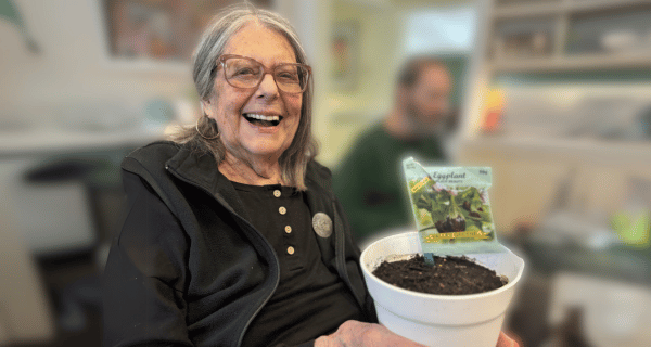 North Woodmere resident displays recently planted eggplant seedling