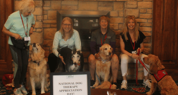 therapy dogs and their handlers