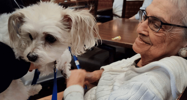 senior woman smiling at therapy dog