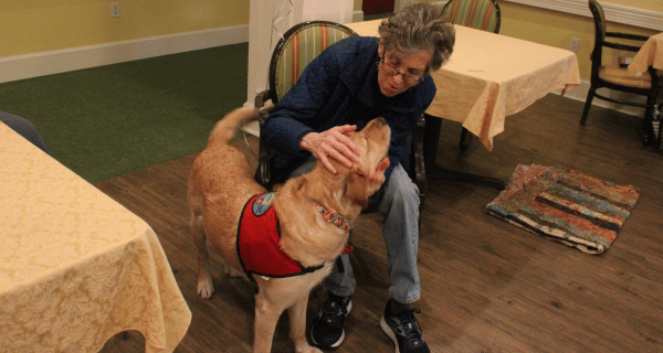 senior woman petting therapy dog