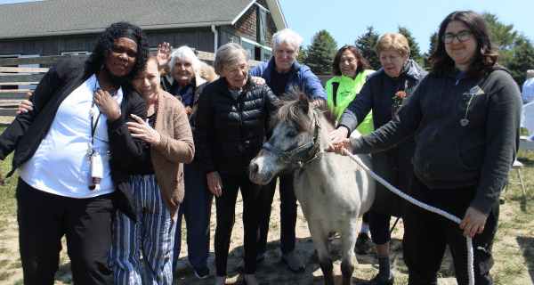 group of seniors with therapy horse