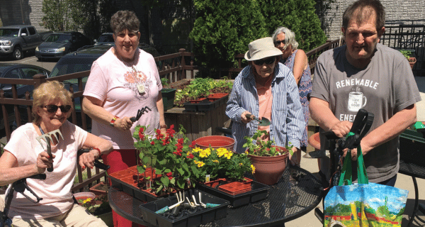 Garden club members picking fresh vegetables