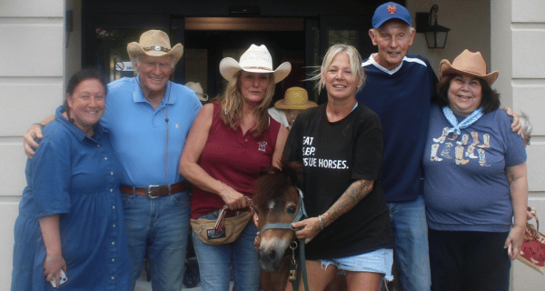 Miniature Horse Visited Englewood for Cowboy Day