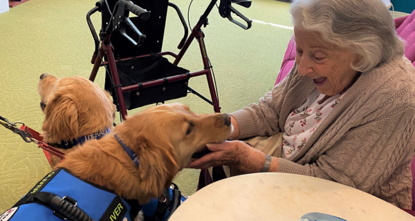 therapy dogs with senior 