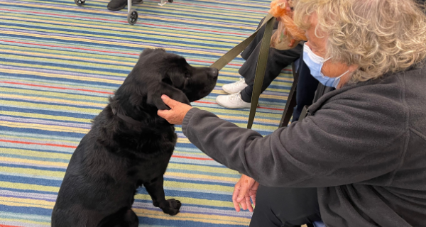 Pet therapy visit at The Bristal at Lynbrook