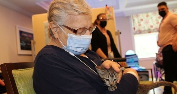 Senior woman snuggles kitten in her lap