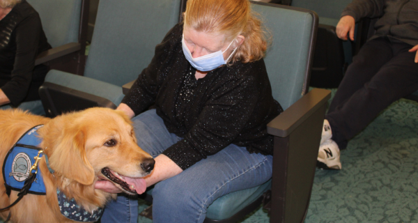 Abraham the Comfort Dog visits Massapequa