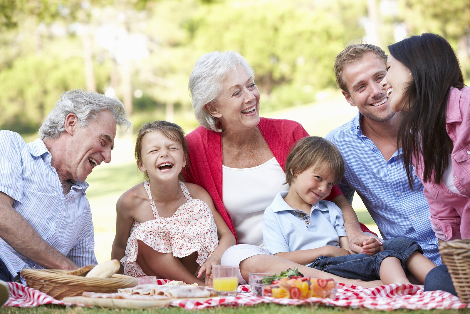 Multigenerational family having a picnic on a blanket in the park