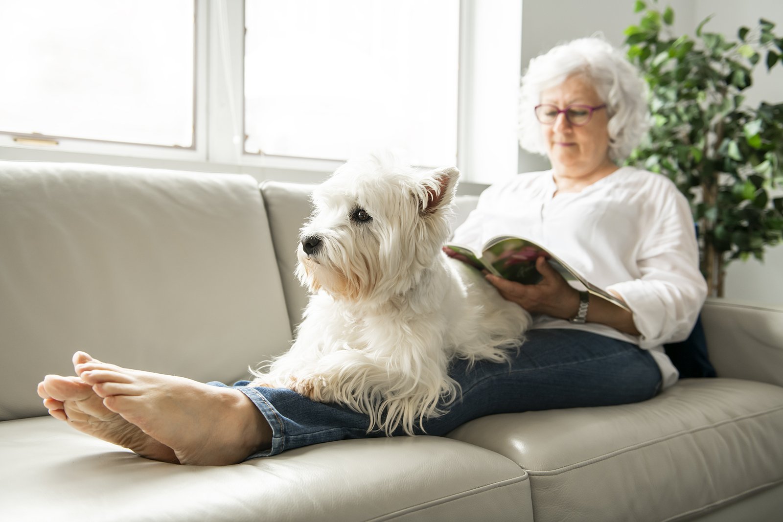Senior resident with dog at senior living community