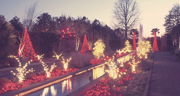 outdoor garden decorated with holiday lights