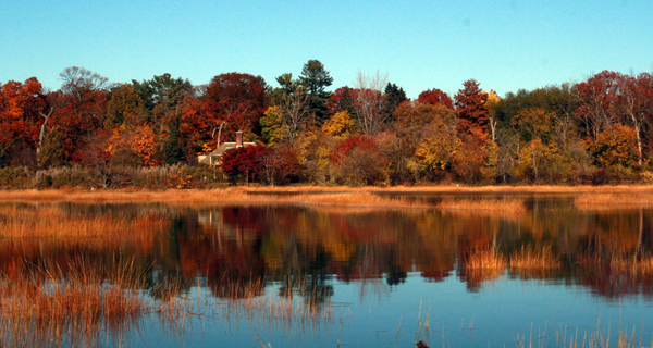Welwyn Preserve County Park, a nature preserve, in Glen Cove on the North Shore of Long Island, New York, showcases the region’s fall beauty.