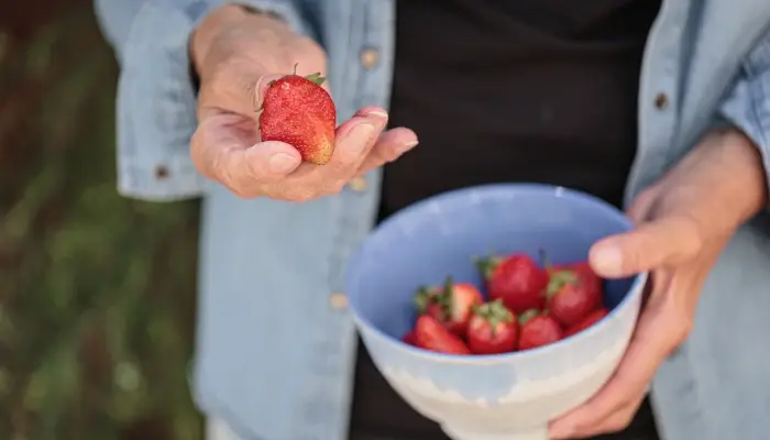 Senior holding a bowl of fresh picked strawberries